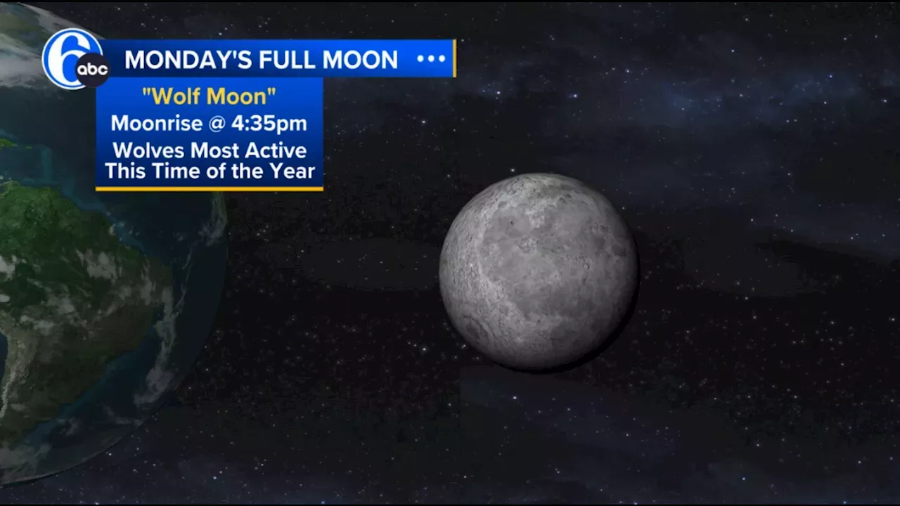 Wolf Moon Ushers in 2025 A Bright Start to the New Year Astronomy