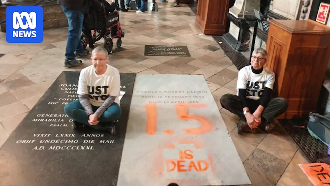 Climate Activists Paint on Darwin's Grave at Westminster Abbey