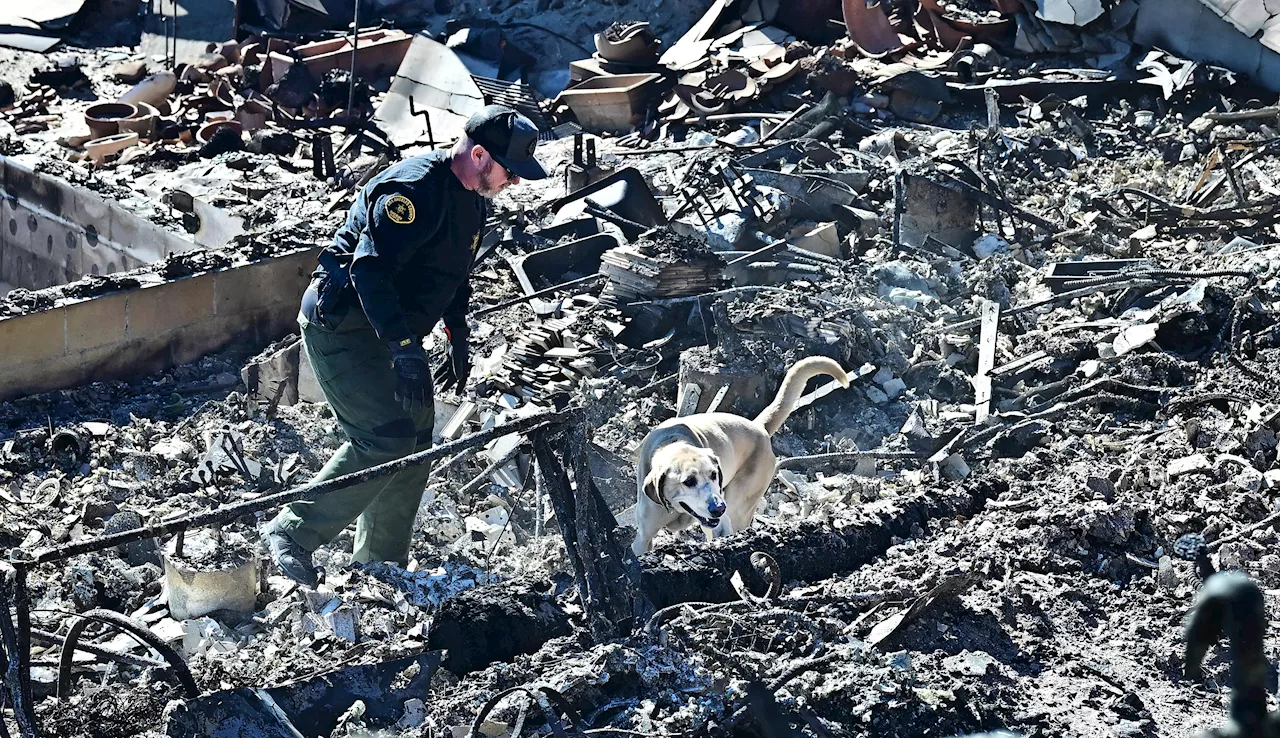 Incendio Los Angeles, 24 morti e emergenza senza fine: le news di oggi