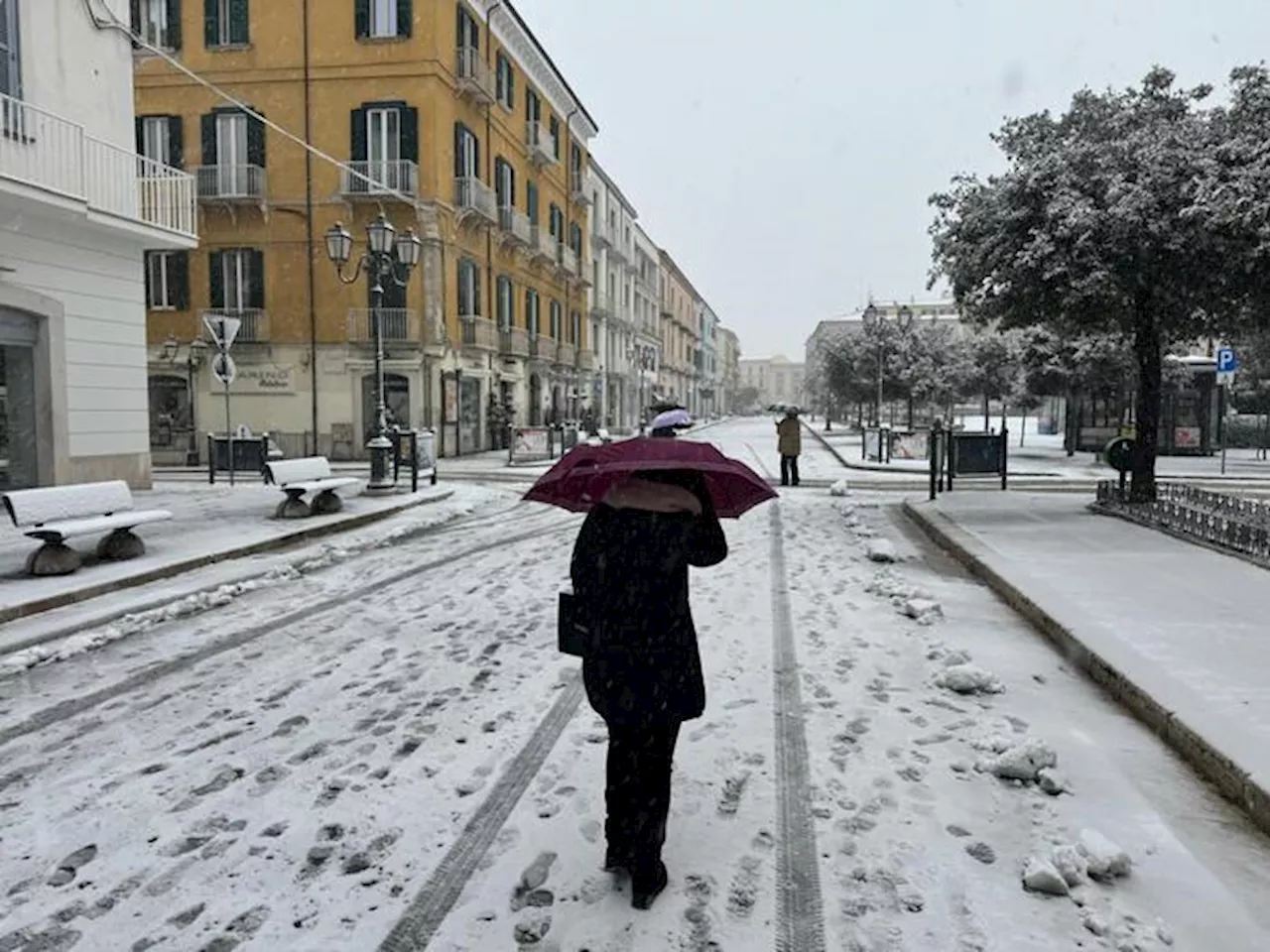 La città di Campobasso si imbianca: scuole chiuse