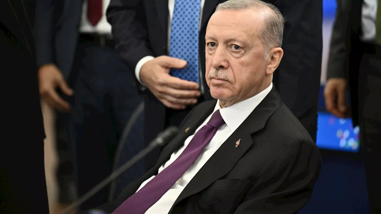 Erdogan Launches Turkey's 'Year of the Family' with Anti-LGBTQ+ Rhetoric and Birth Rate Boosting Measures