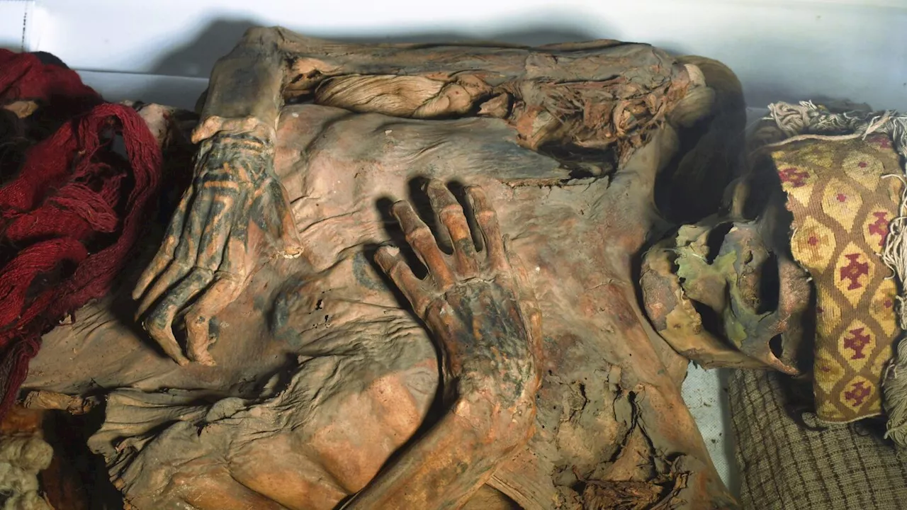 Lasers Reveal Intricate Ancient Tattoo Designs on Peruvian Mummies