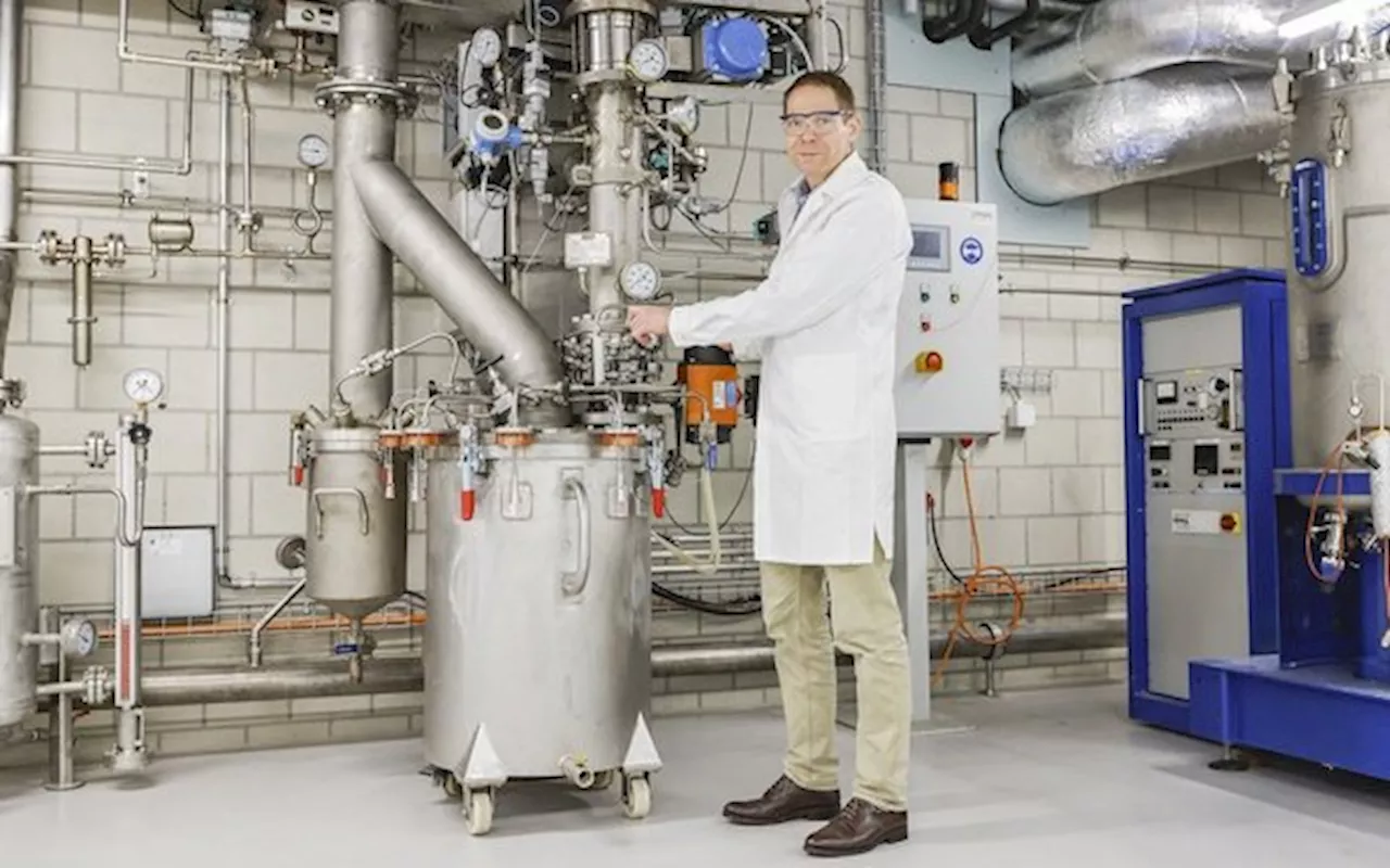 Neue Wege mit Biomasse: Energiegewinnung, Plastik und CO2-Speicherung