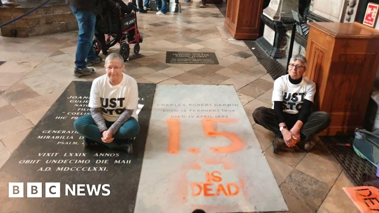 Climate Protesters Spray Paint Darwin's Grave at Westminster Abbey