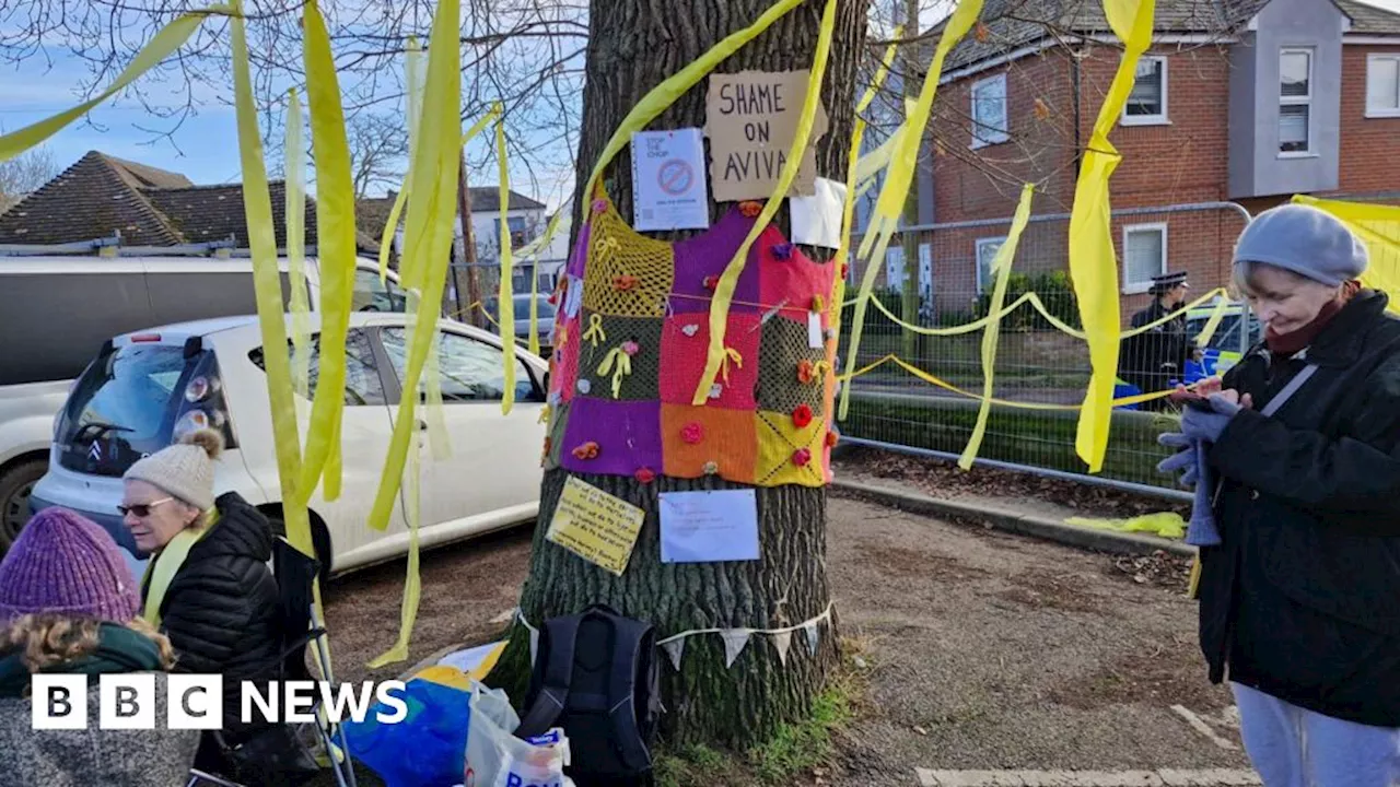 Protesters Block Access to 120-Year-Old Tree Scheduled for Felling