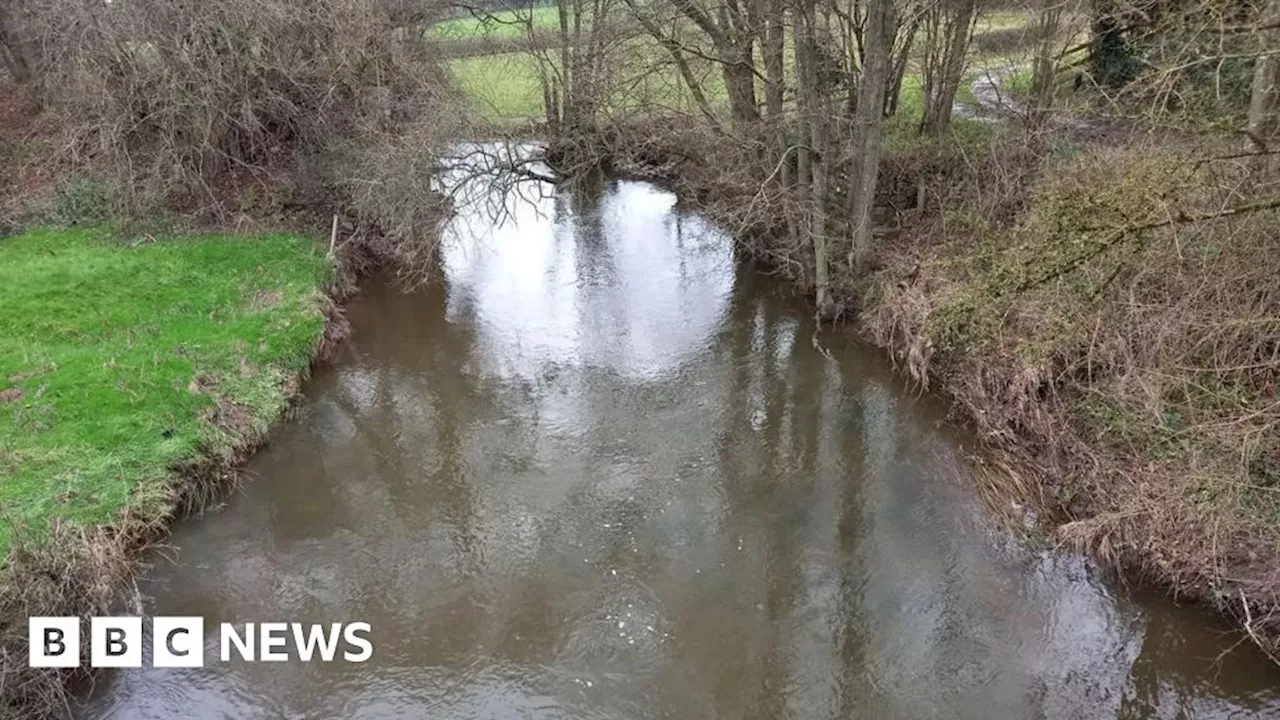 Sewage Pipeline Plan Sparks Concerns for River Wildlife