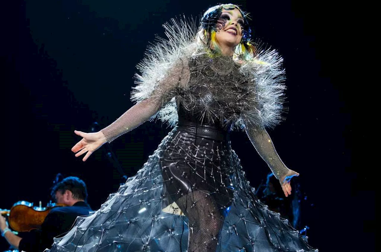 Björk on Curating a Touring Schedule That Allows for a Life