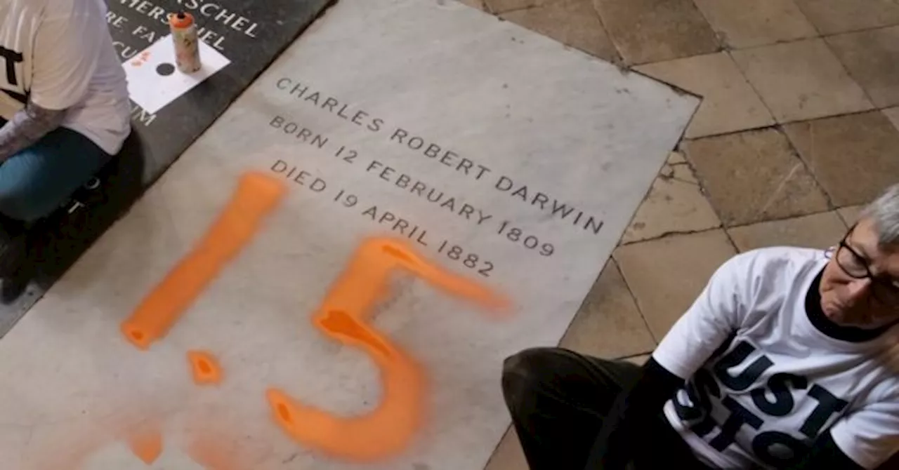 Just Stop Oil Radicals Deface Charles Darwin’s Grave in Westminster Abbey