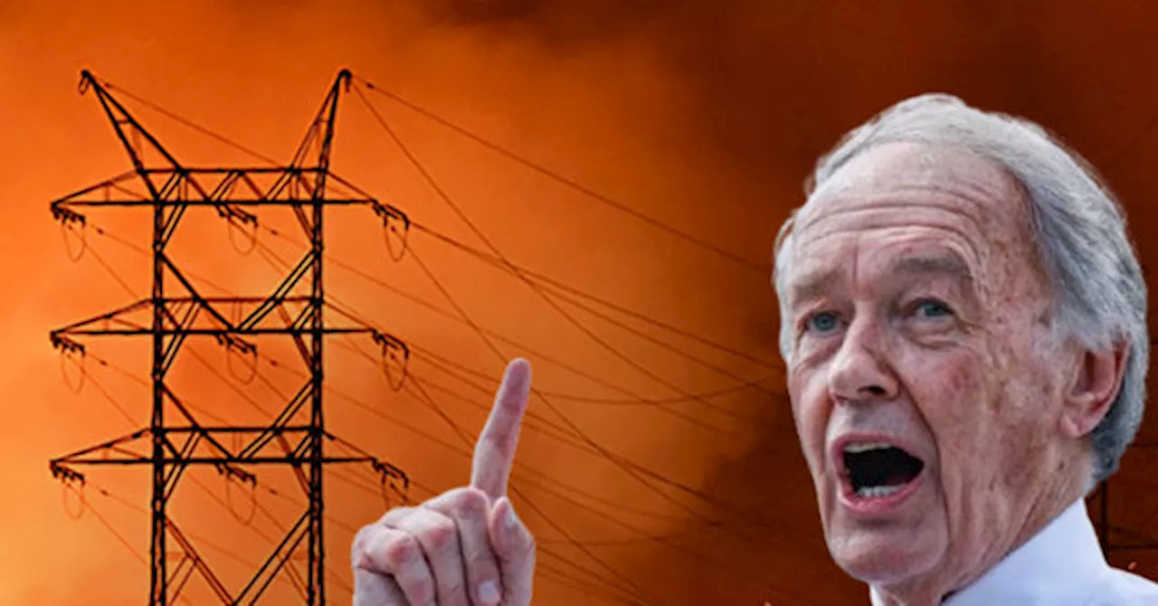 Markey Blames Trump's 'Big Oil' Ties for LA Fires, Predicts More 'Death' 