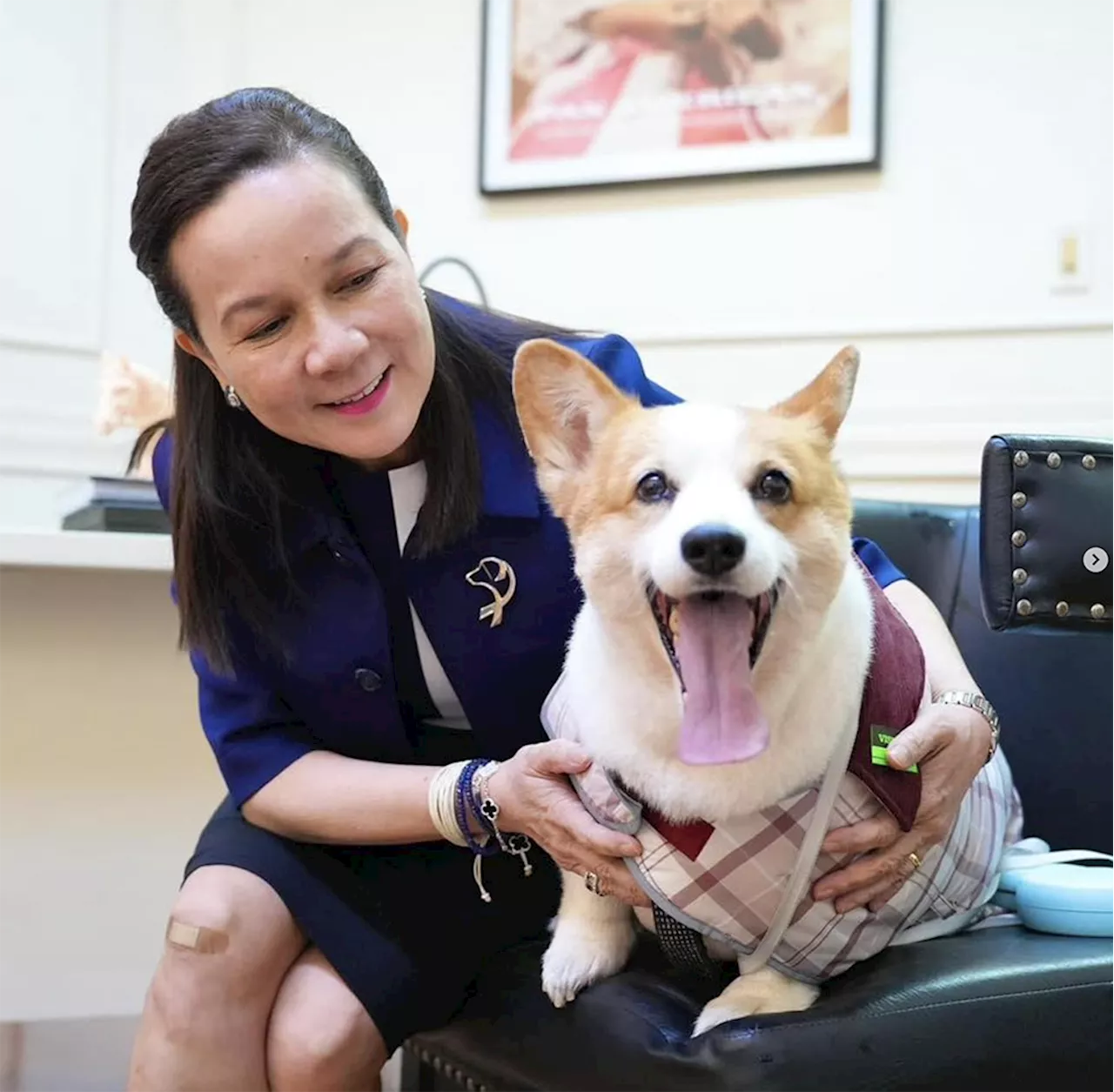 Poe vows one big push for Animal Welfare bill