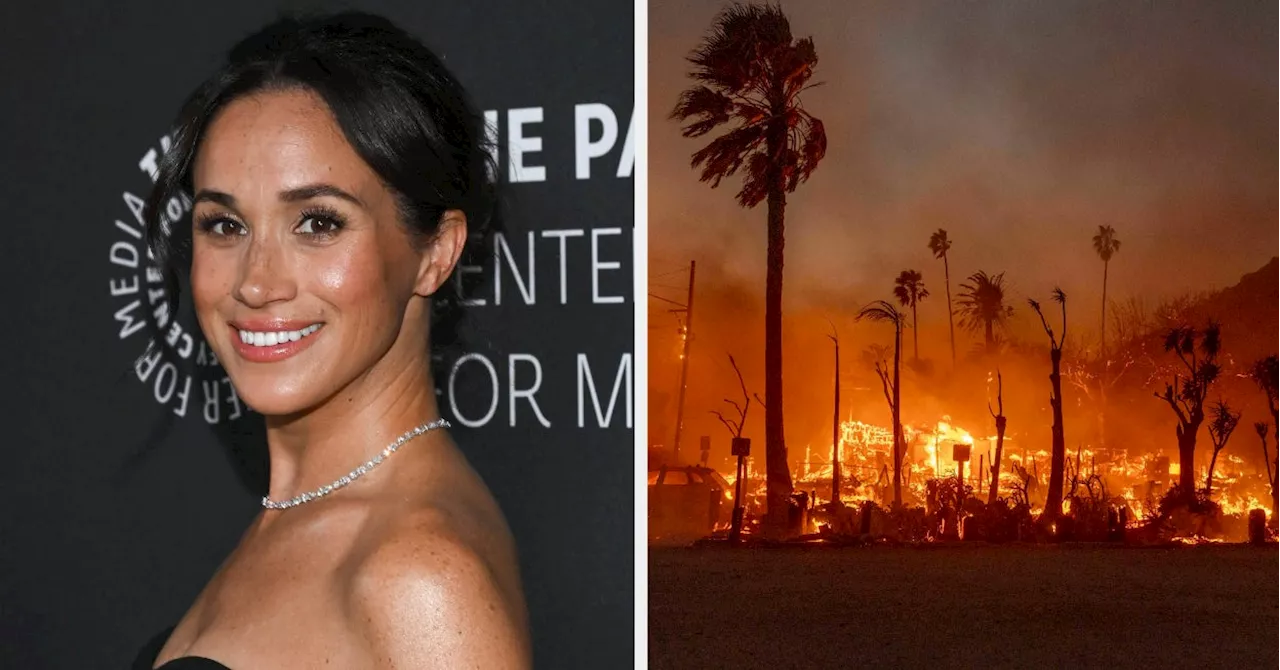 Meghan Markle Volunteers In LA Wildfires: Reactions