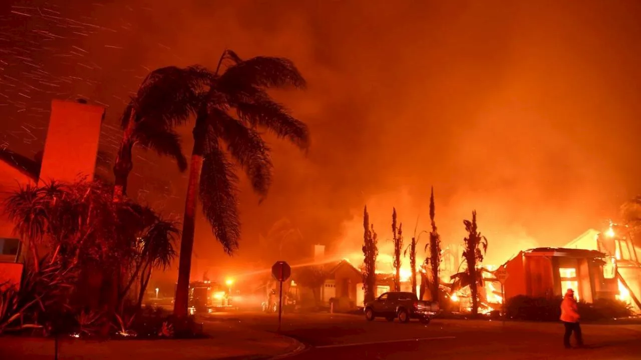 South African Expats Face Wildfire Nightmare in Los Angeles