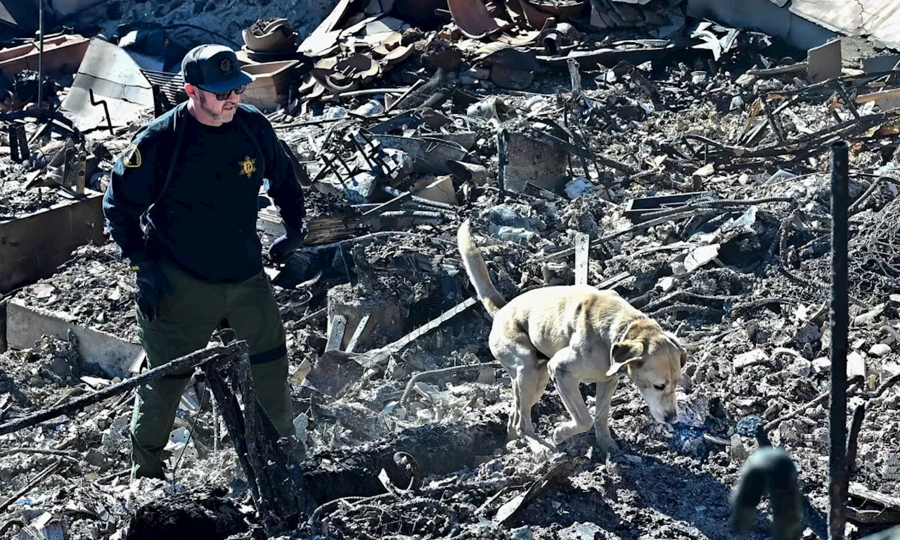 Incêndios em Los Angeles: Busca por Corpos Continua enquanto Ventos Fortes Ameaçam Reacende o Fogo