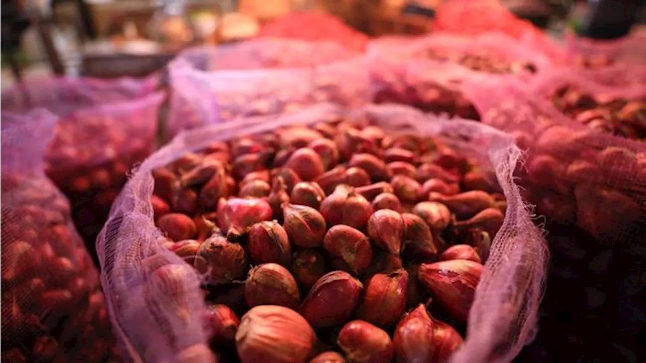 Kementan Waspadai Masalah Pasokan Bawang Merah di Awal 2025