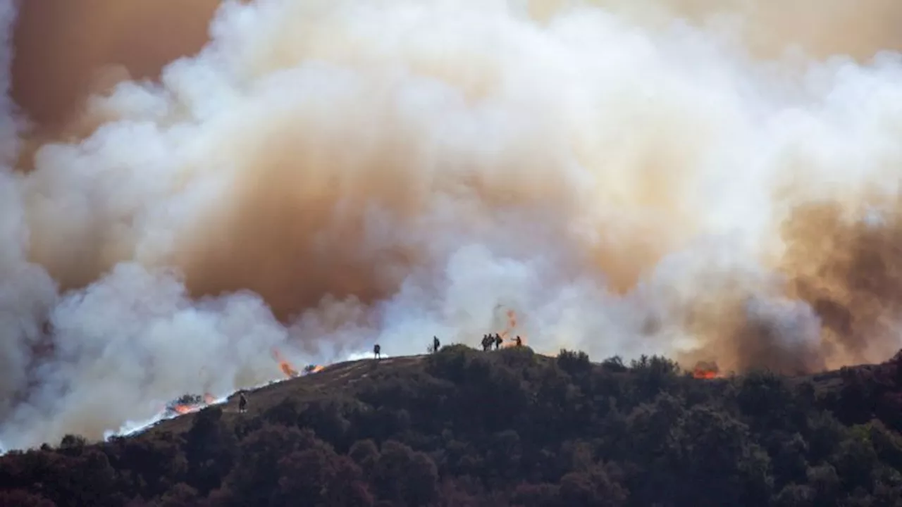 Los Angeles wildfires: At least 24 killed as returning winds threaten to undo progress