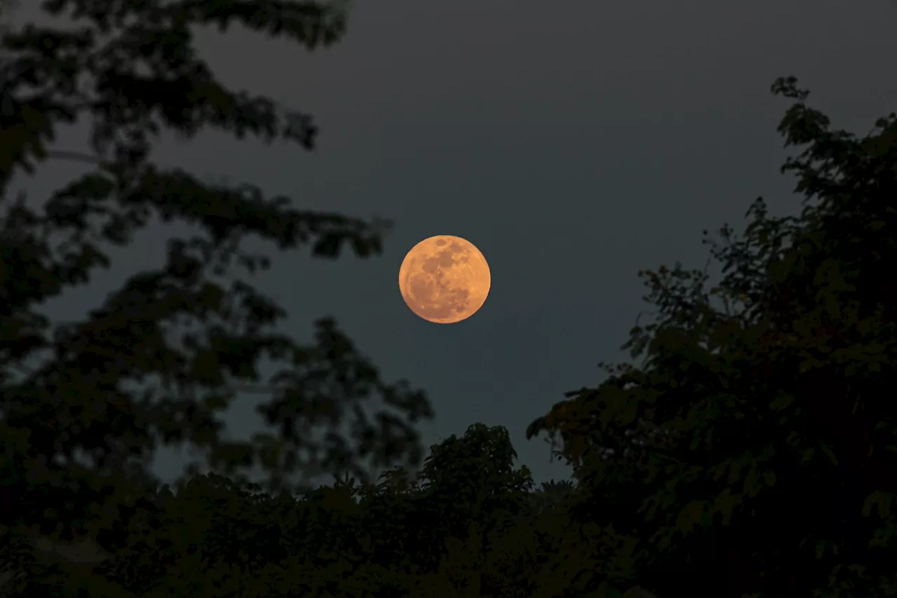 Lua do Lobo e Desfile de Planetas: o que esperar do céu em janeiro