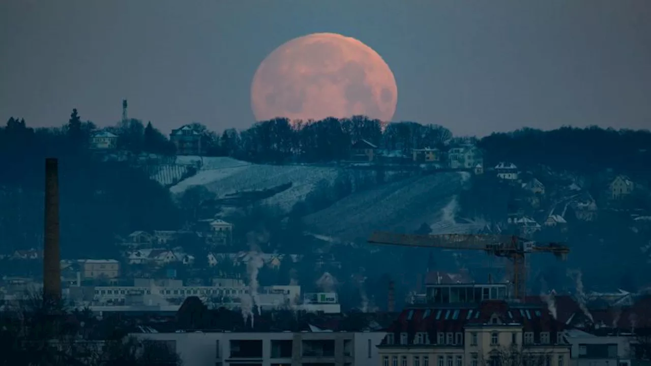 Wolf Moon and Planetary Parade Grace January Skies