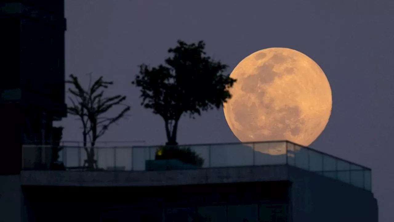 Luna llena de enero 2025: cuándo, a qué hora es y cómo ver la luna del lobo junto a la \'ocultación\' de Marte