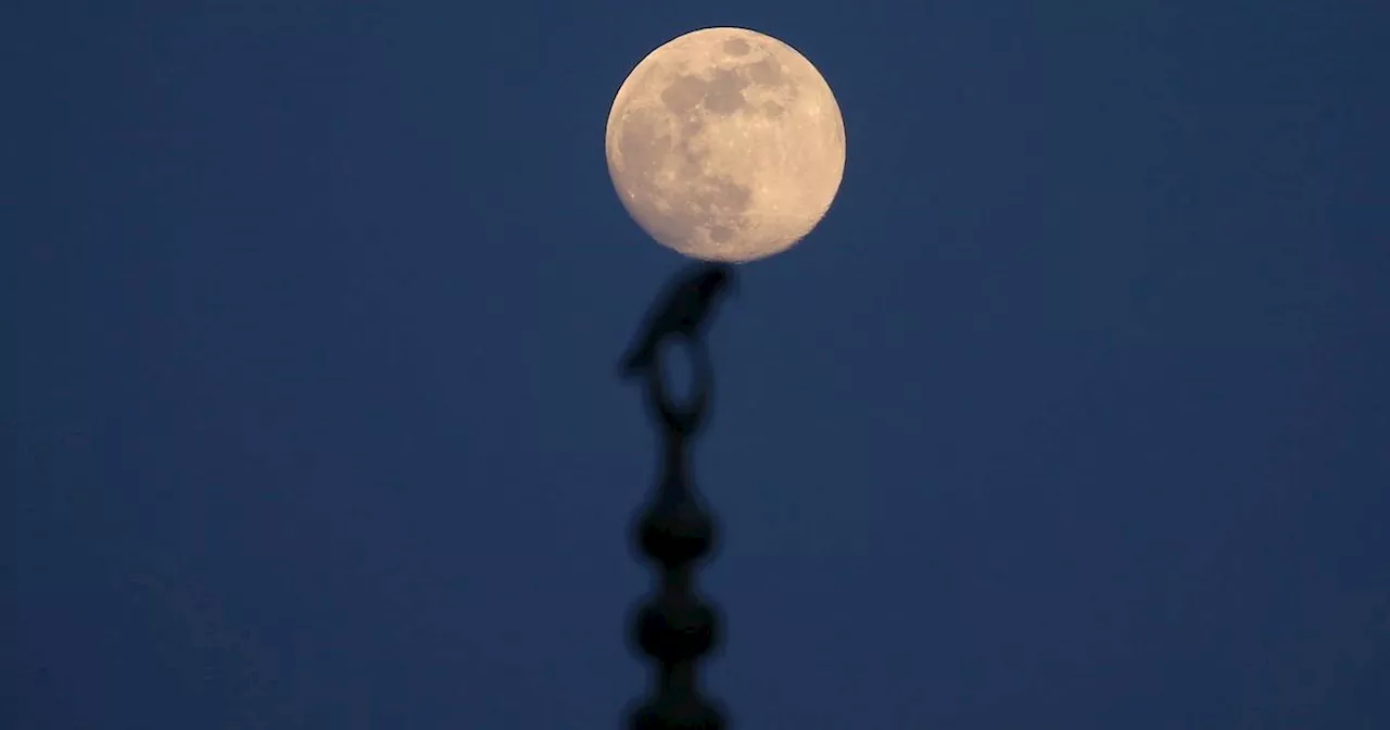 Lune du Loup 2025 : Mars Occulté par la Lune