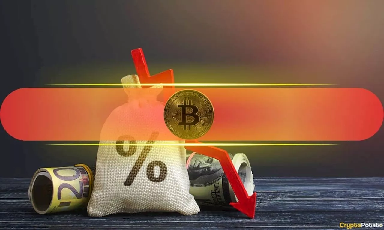 Bitcoin (BTC) Plunges to $90,600 Amid Declining Whale Activity: What’s Next?