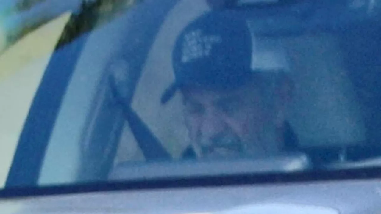 Mel Gibson Spotted After Losing Malibu Mansion in LA Wildfires