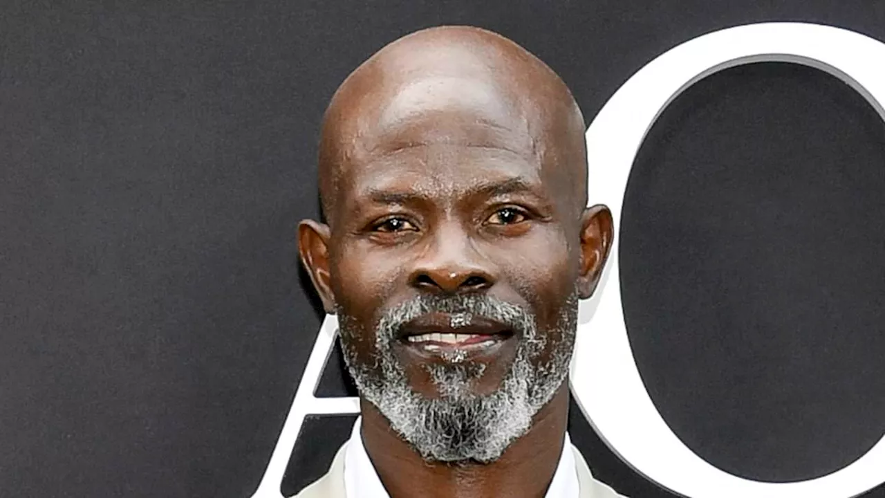 Two-time Oscar nominee Djimon Hounsou reveals he's 'struggling to make a living' in Hollywood