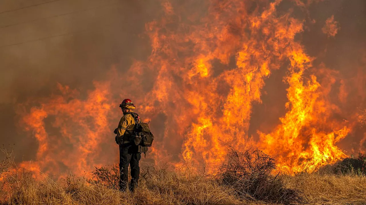 LA Residents Can Finally Return Home as Fire Damage Assessment Begins