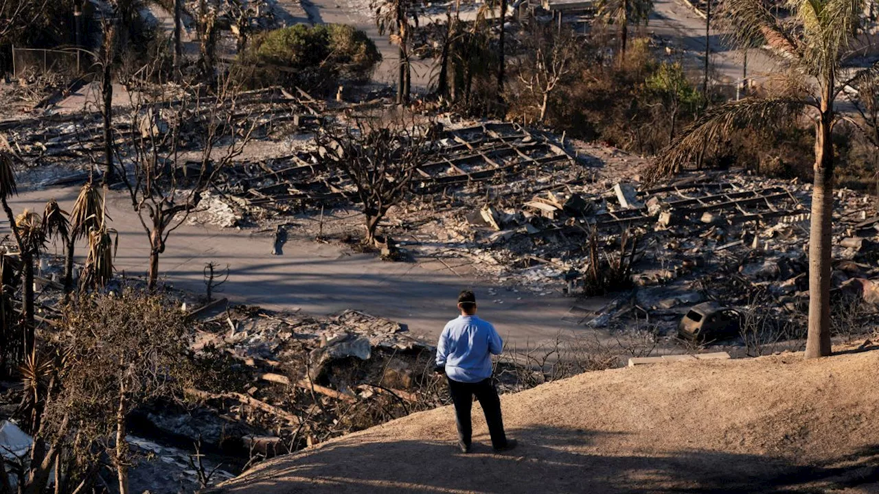 Waldbrände in Kalifornien: Katastrophe in den Santa Monica Mountains