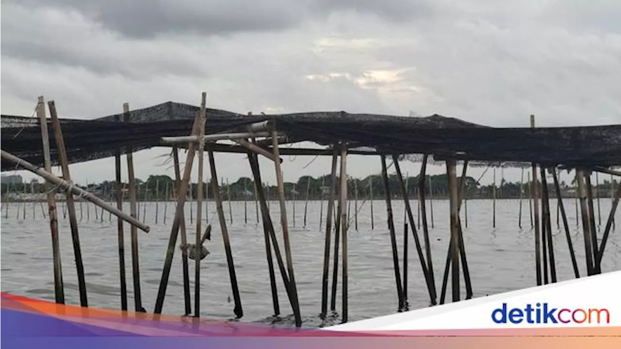 Kelompok Nelayan Ini Ngaku Bangun Pagar 30 Km di Laut Tangerang, Duitnya dari Mana?