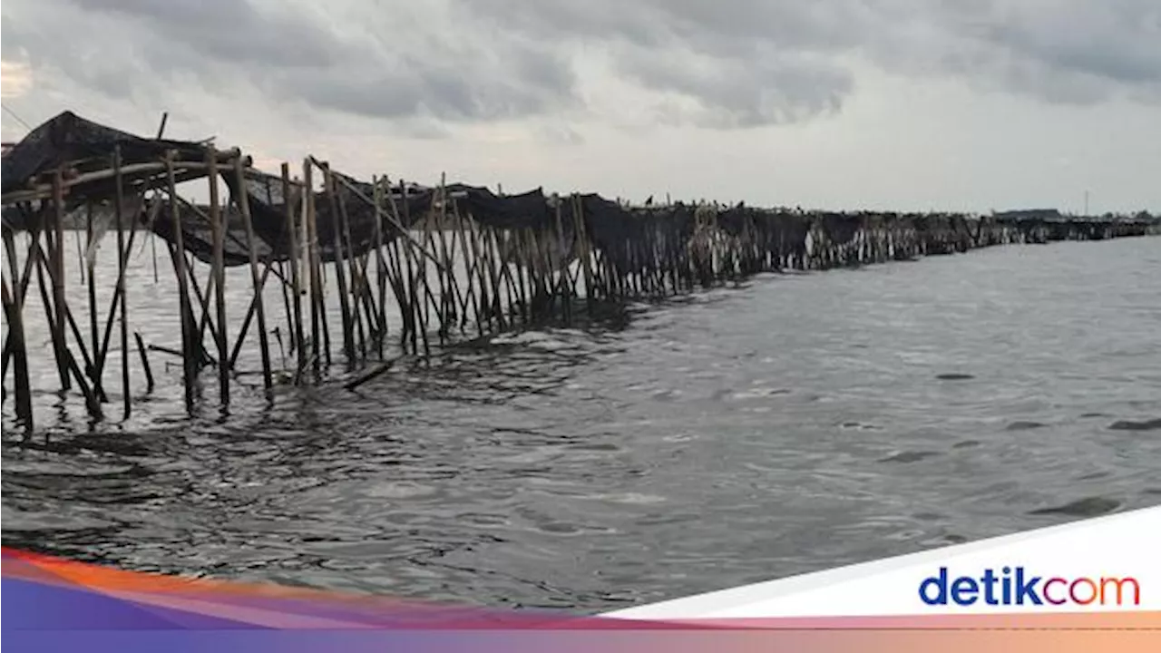 Nelayan Banten Bangun Pagar Laut Anti Tsunami dan Abrasi