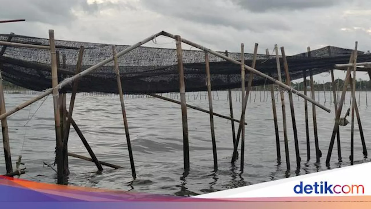 Pagar Misterius di Laut Tangerang Diklaim buat Cegah Abrasi