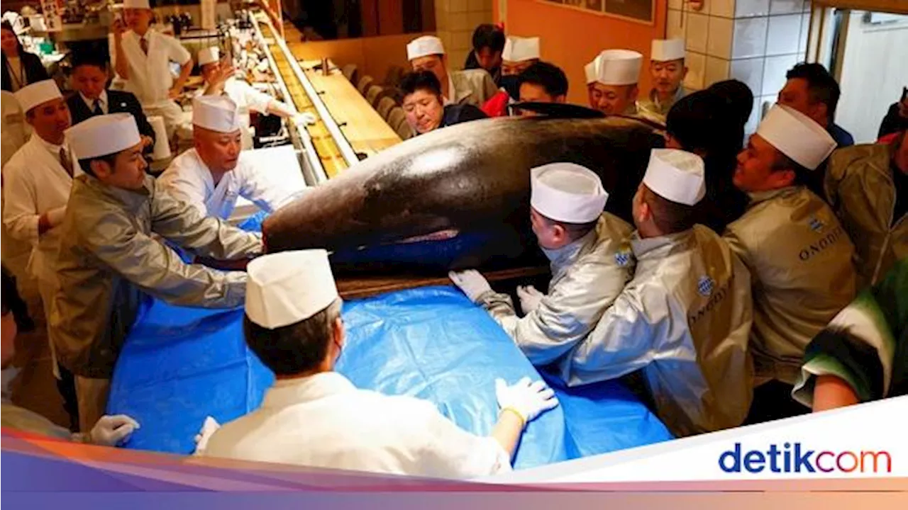 Wow! Ikan Tuna Raksasa Ini Laku Terjual Rp 21 Miliar