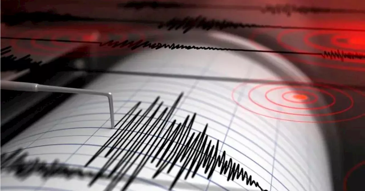 Terremoto de 6.9 sacudió Japón: hay alerta de tsunami