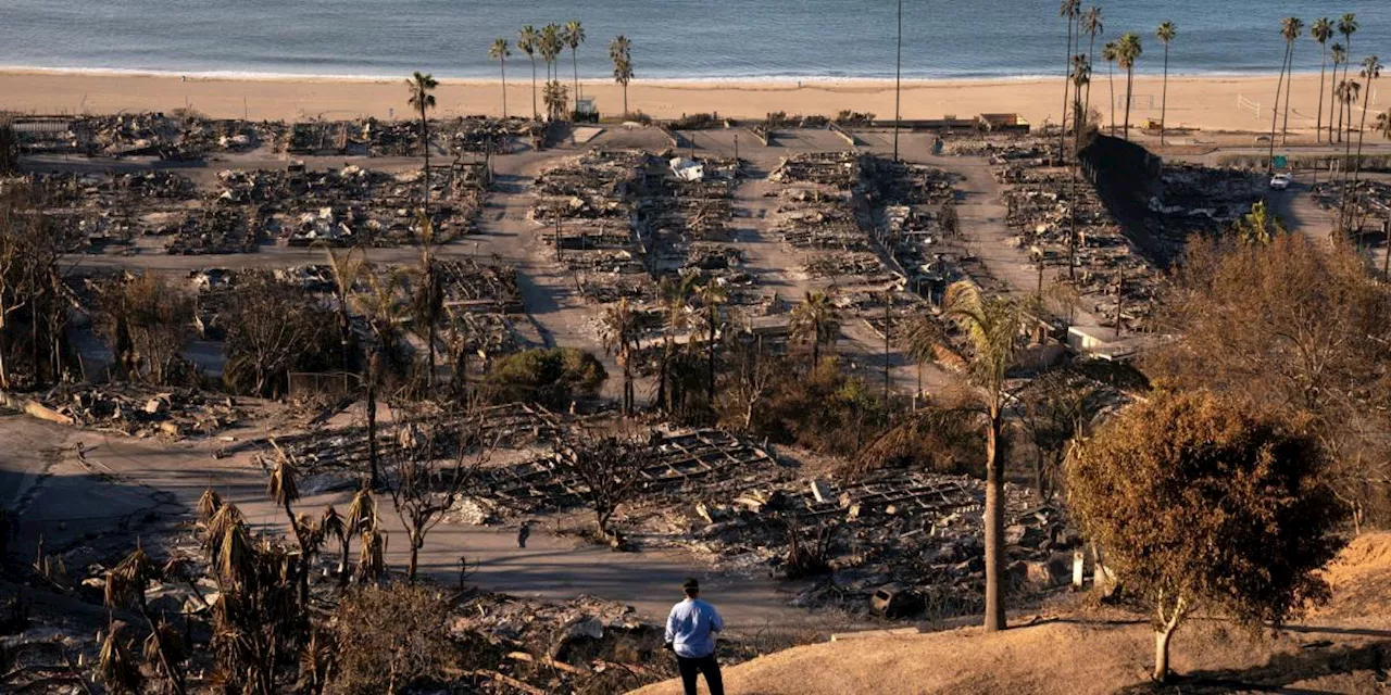 Gobernador de California reporta 24 muertos tras 6 días de abrasadores incendios en Los Angeles