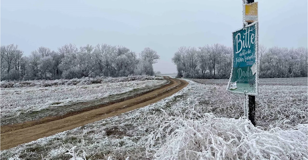 Winter Wonderland Vienna, oder: Auf Grödeln zu den Knödeln