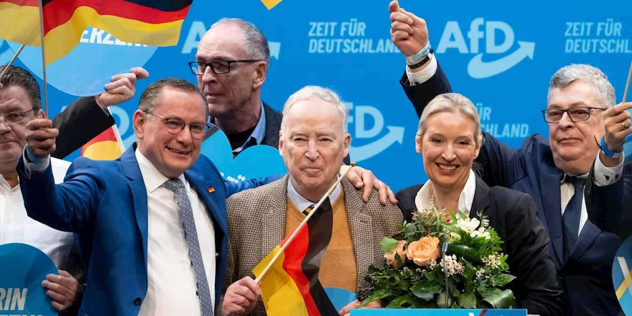 AfD-Bundesparteitag: Rechtsextreme Züge und Widersprüche im Wahlprogramm