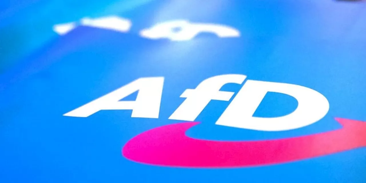 AfD mit „Abschiebetickets“ im Fokus: Neue Kontroverse um die Partei