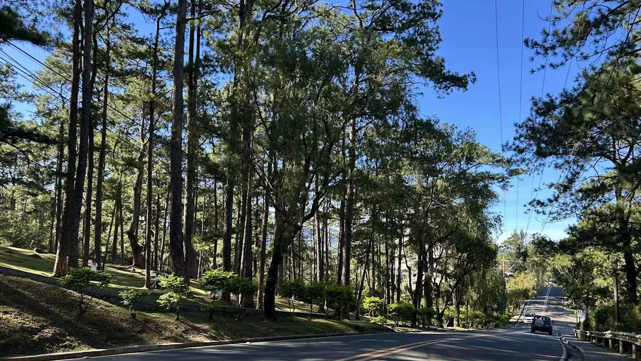 Baguio City Temperature Expected to Drop Further Due to Amihan