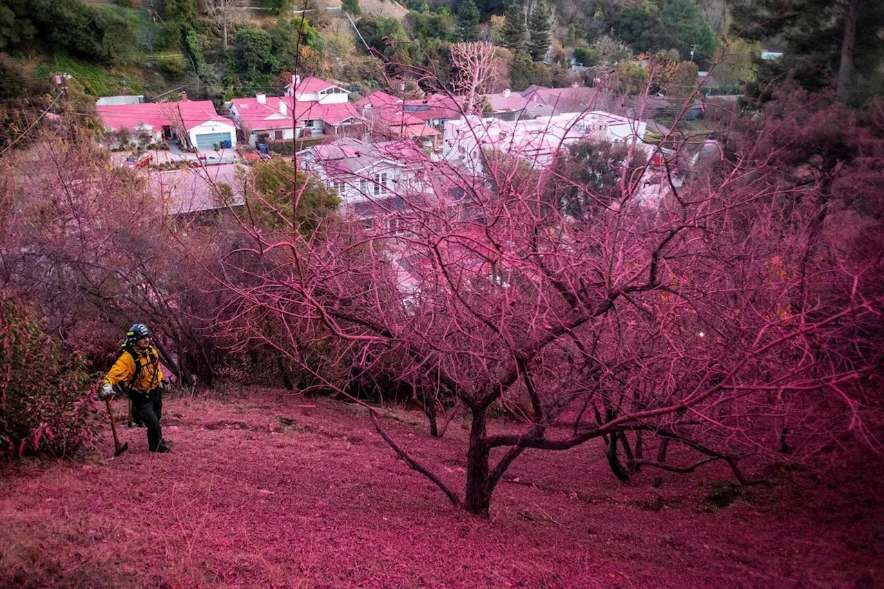 High Winds Threaten California Wildfires as Death Toll Climbs