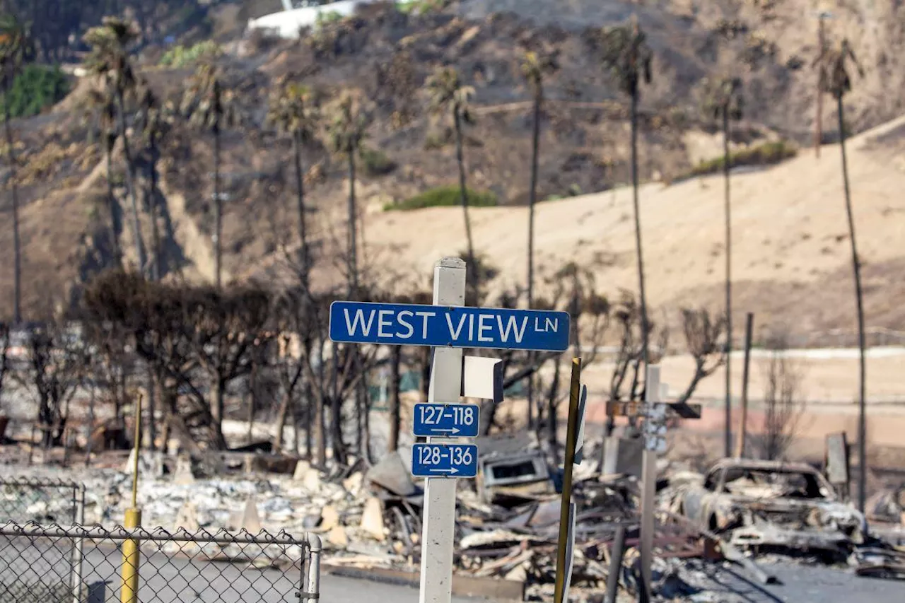 Los Angeles wildfires death toll now 24; firefighters race to contain blaze