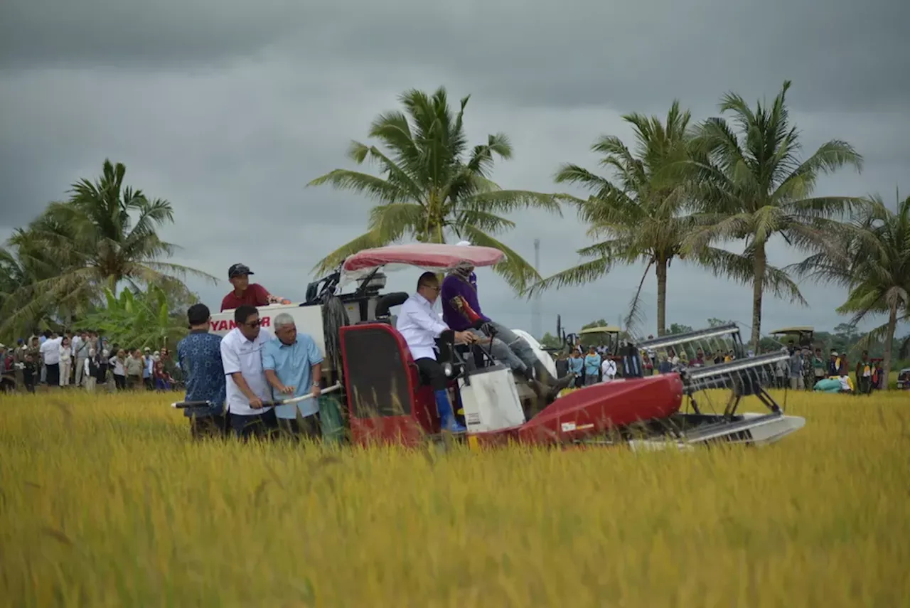 Sumatera Selatan Jadi Prioritas Cetak Sawah Baru untuk Swasembada Pangan