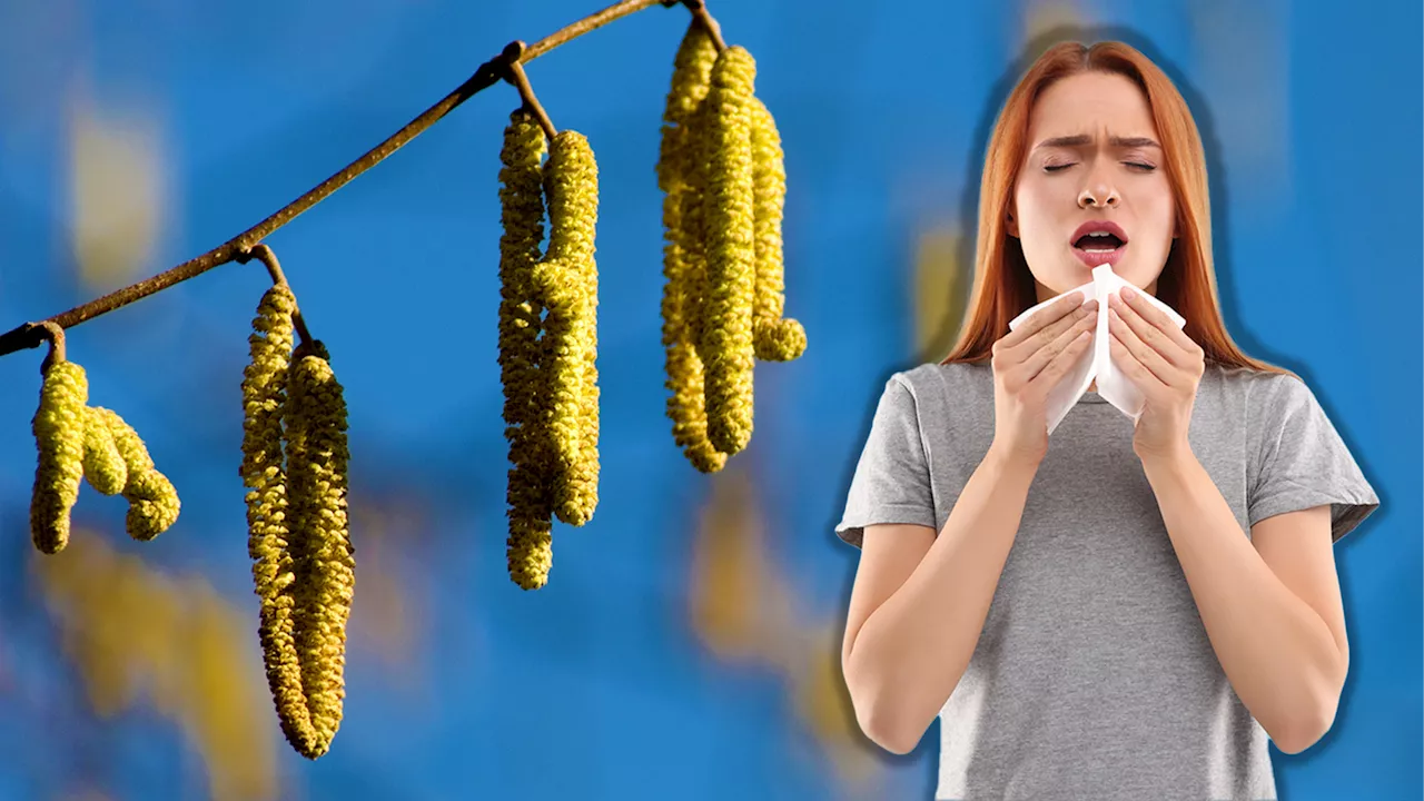 – hier hat die Pollensaison bereits begonnen