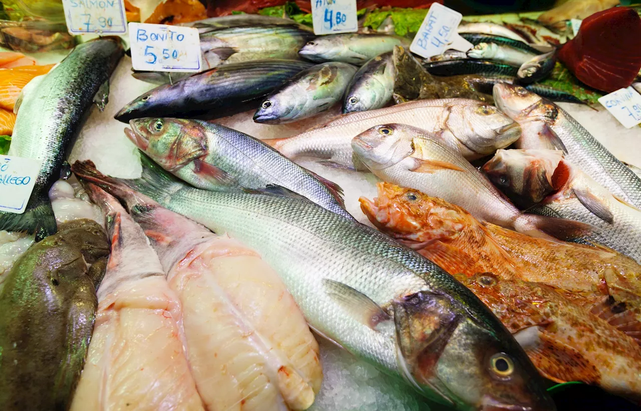 Mercadona Vende Pescado en Bandejas: Consejos para su Consumo