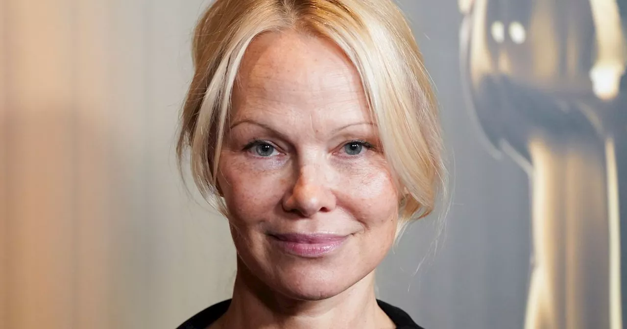 Pamela Anderson Says Awards Buzz Around New Film Is 'Best Payback' After Pam & Tommy Saga