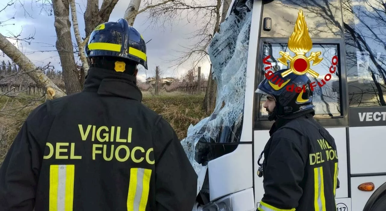 Albero cade su scuolabus a Rignano sull'Arno: fortunatamente nessun ferito grave