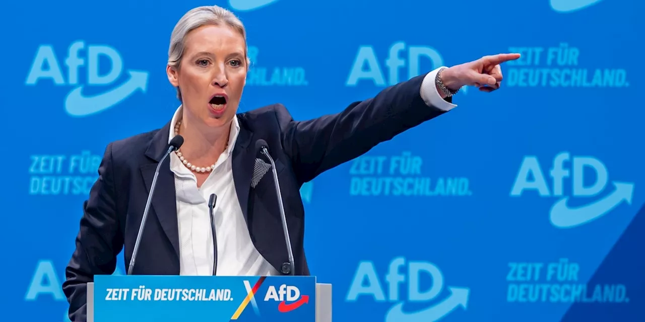 La corrente più radicale dentro AfD è sempre più influente