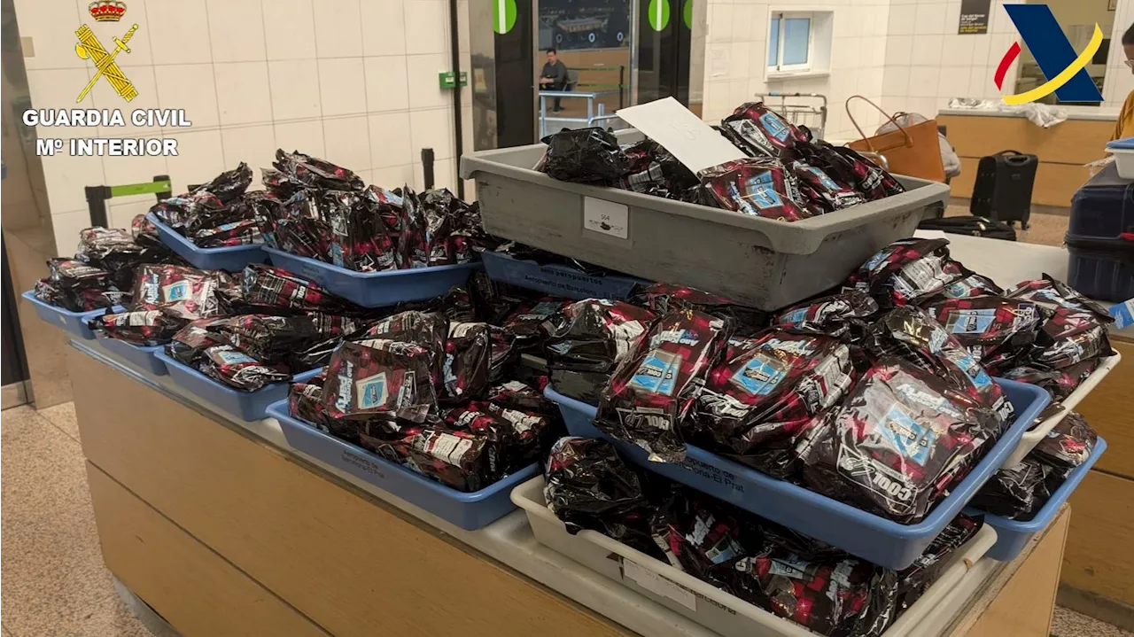 De India a Barcelona, con 29 kilos de tabaco de mascar: incautan 382 bolsas