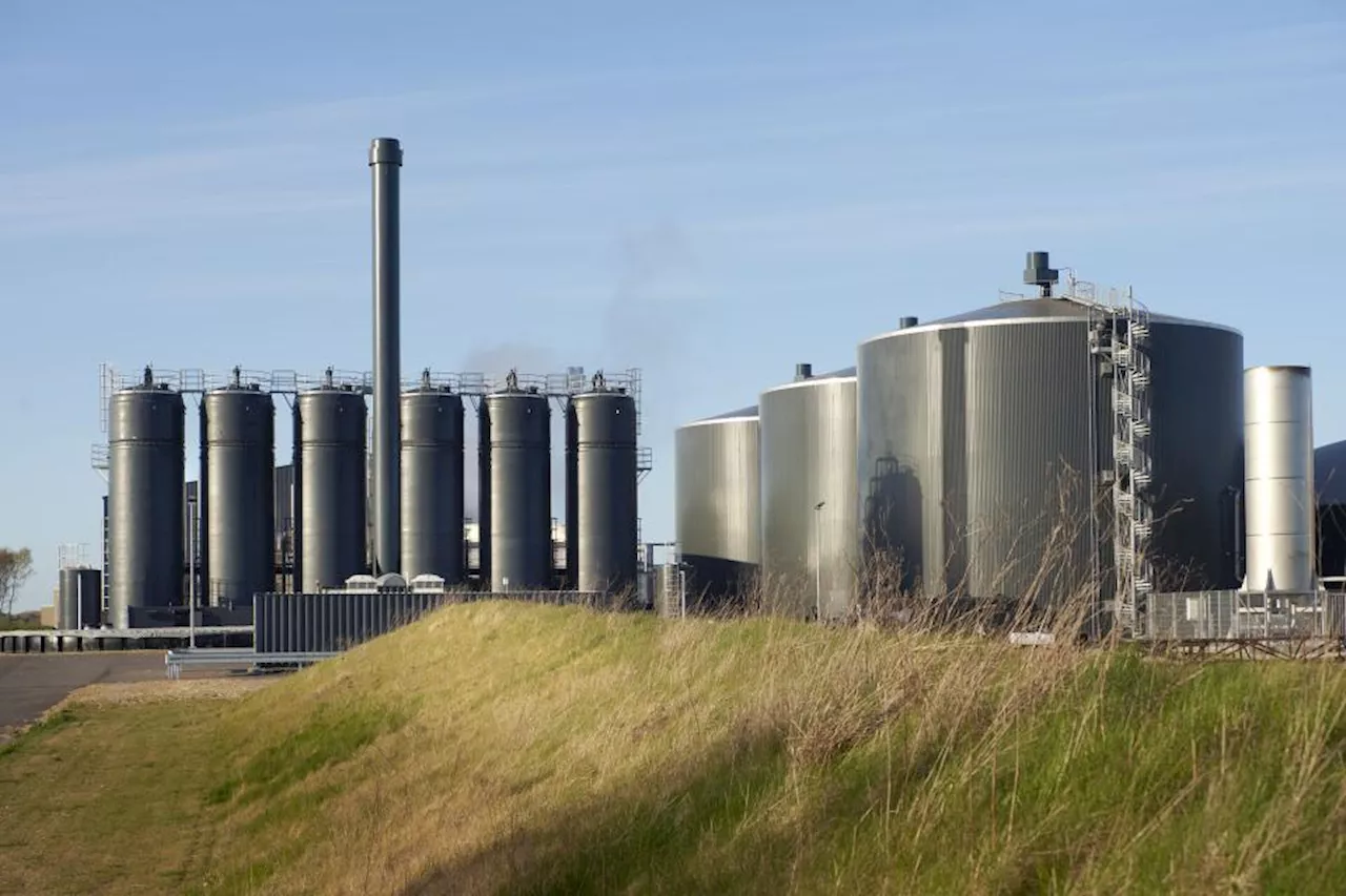 Danske rigmænd tjener millioner på skatteyder-betalt biogas