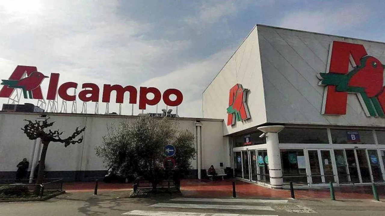 Alcampo Amplía su Bolsa de Trabajo con Más de 200 Ofertas