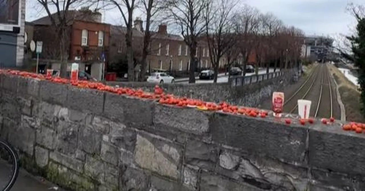 Dublin's Cherry Tomato Bridge becomes 'must-see' attraction with 5-star reviews